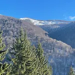 The Nest
