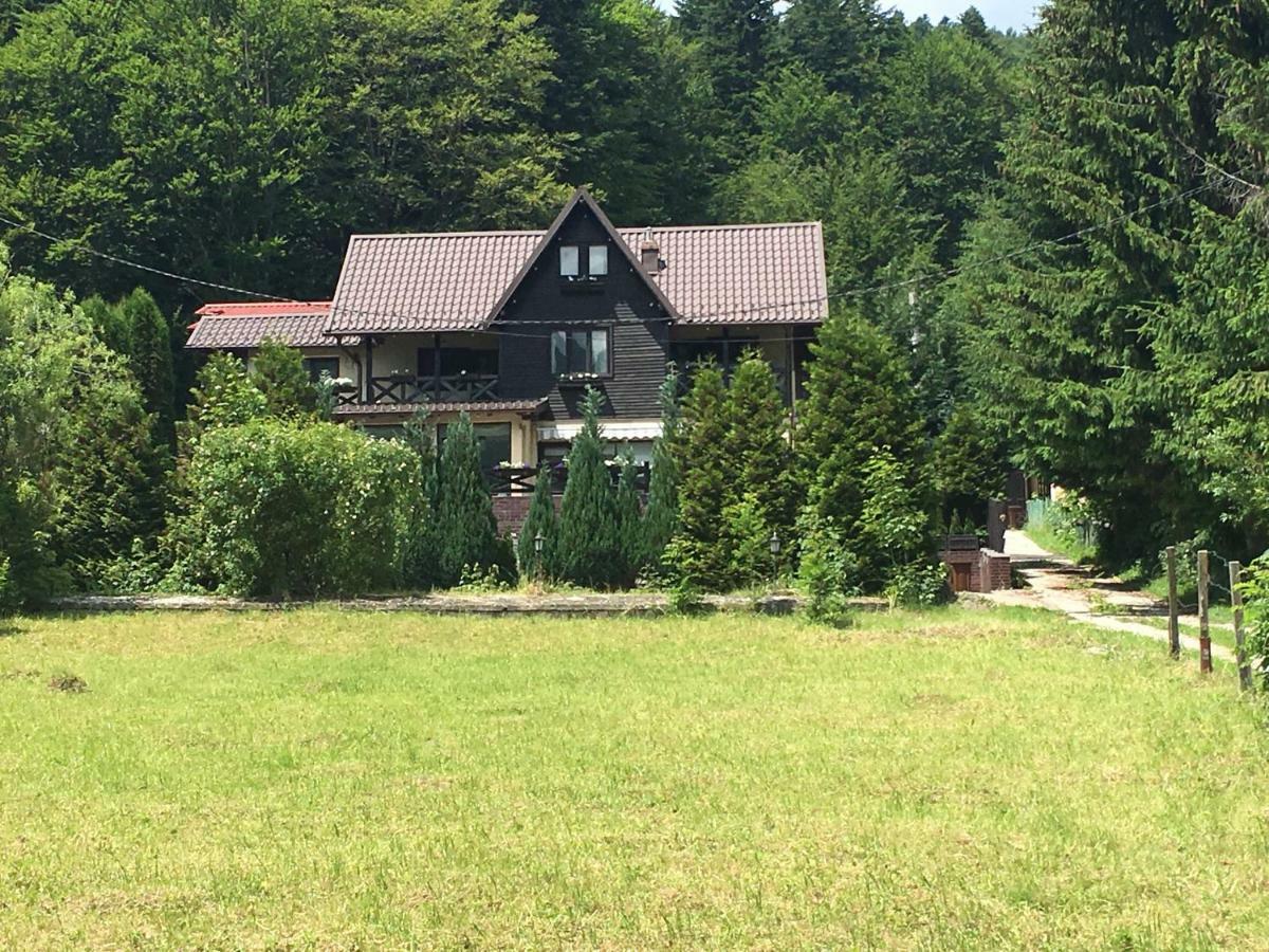 The Nest Apartament Sinaia